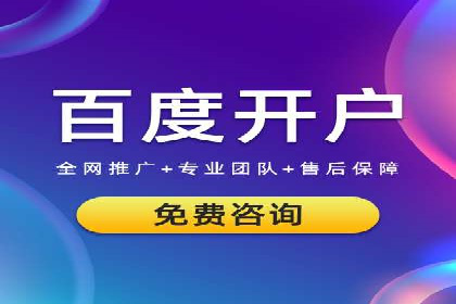 互联网公司SEM代运营成功案例剖析